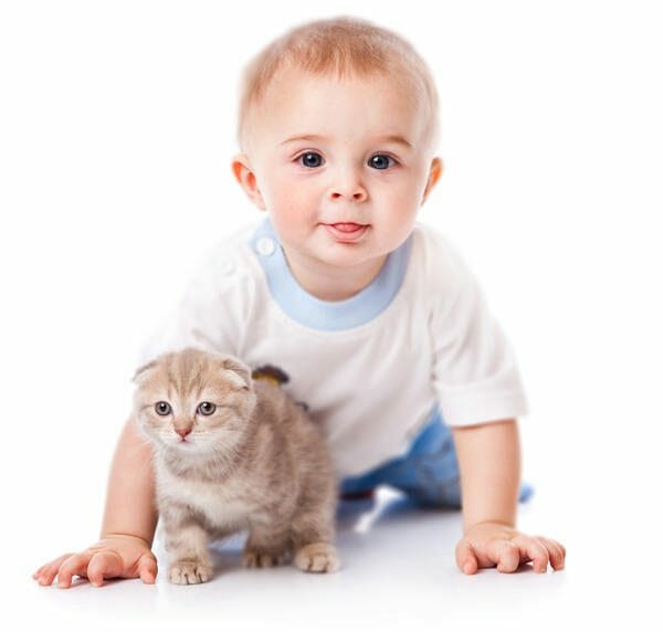 Calitati umane pozitive cu care…ne nastem